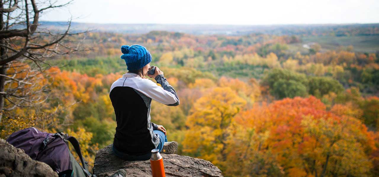 Fall foliage on mountain