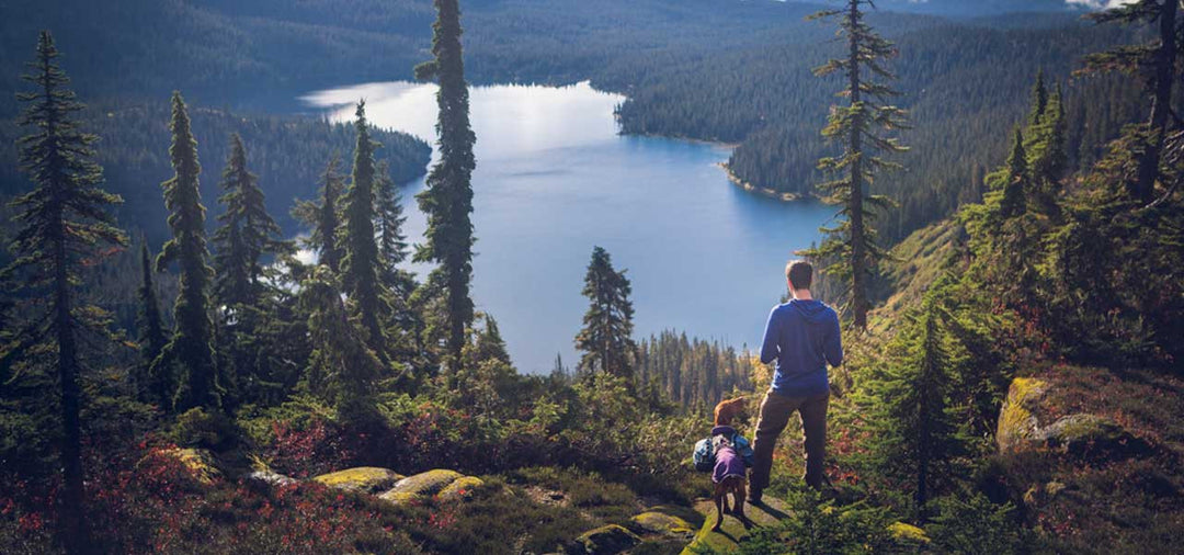 Man standing with dog on edge of mountain