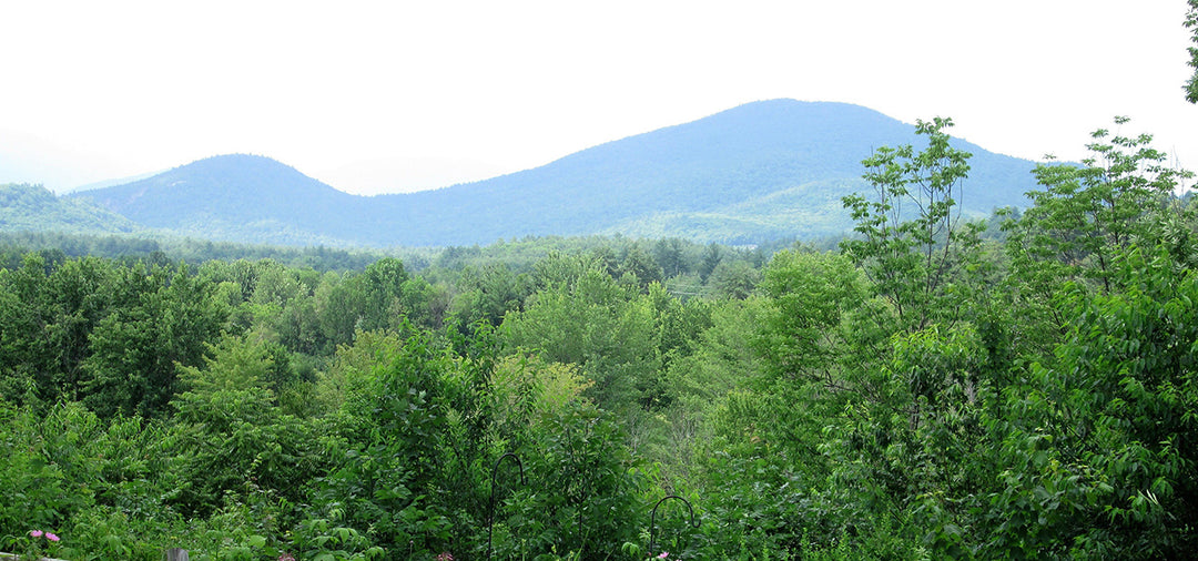 Mountain scenery