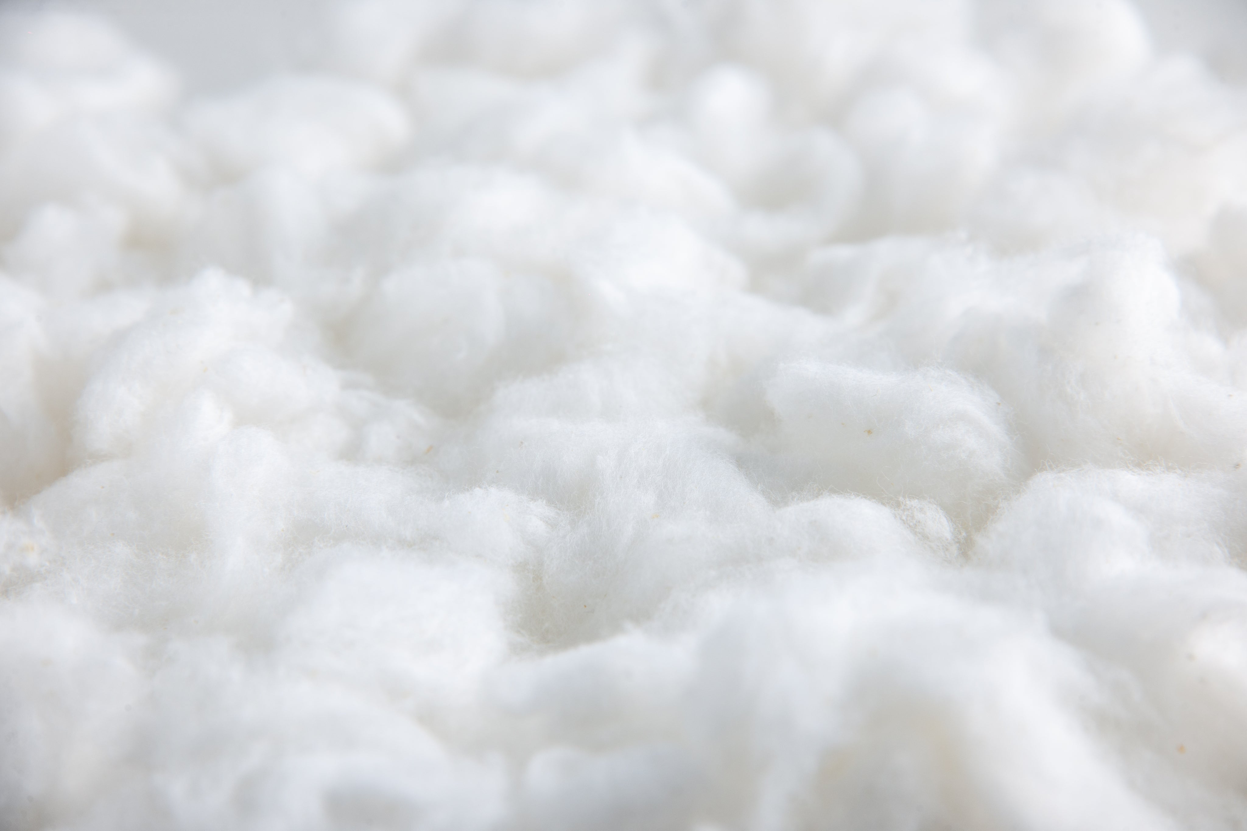 Close-up of fluffy, soft white cotton fibers, showing their delicate and airy texture.