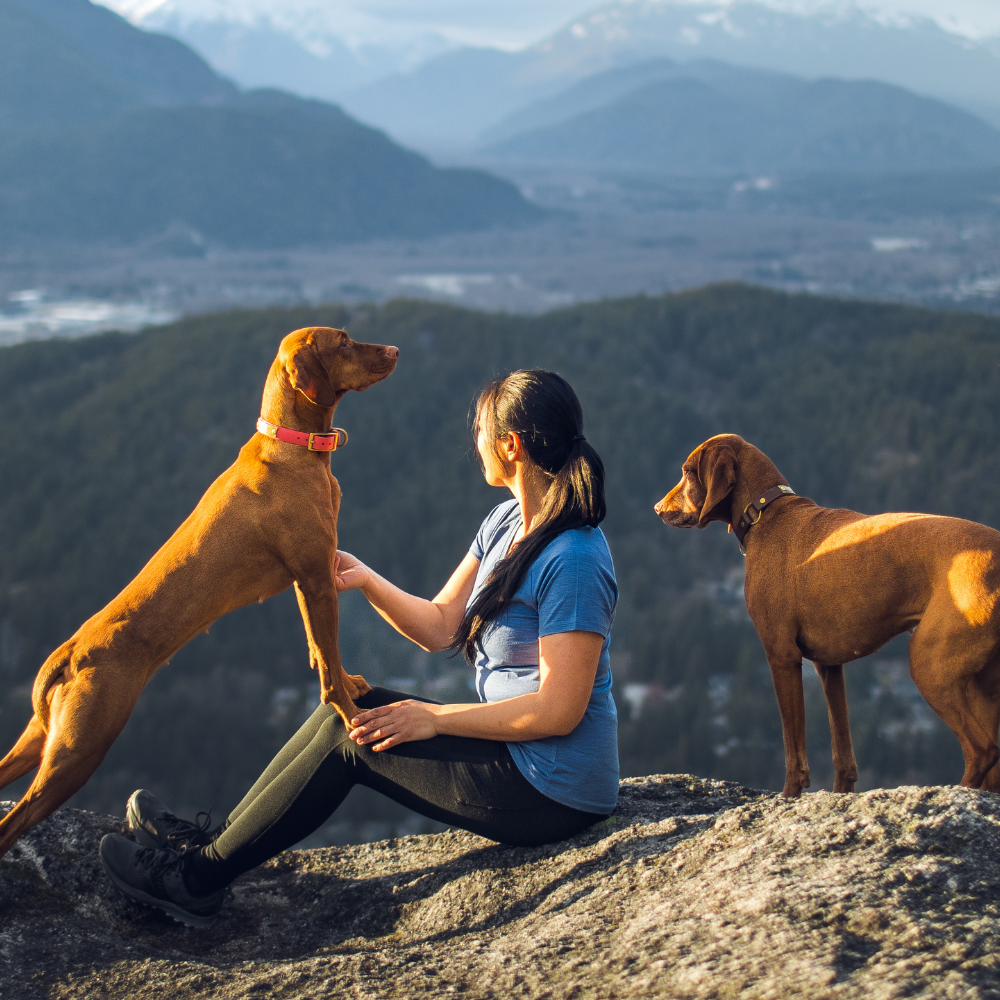 Model wearing Woolx sitting on mountain with dogs