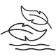 A simple black line drawing of two leaves floating above wavy lines that represent water, on a plain white background.